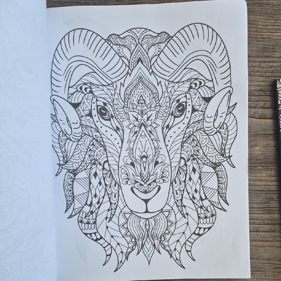 Colorful Adult Coloring Books Set - Picture 2 of 3